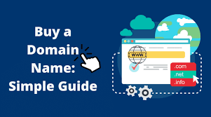 how to purchase a domain name in india